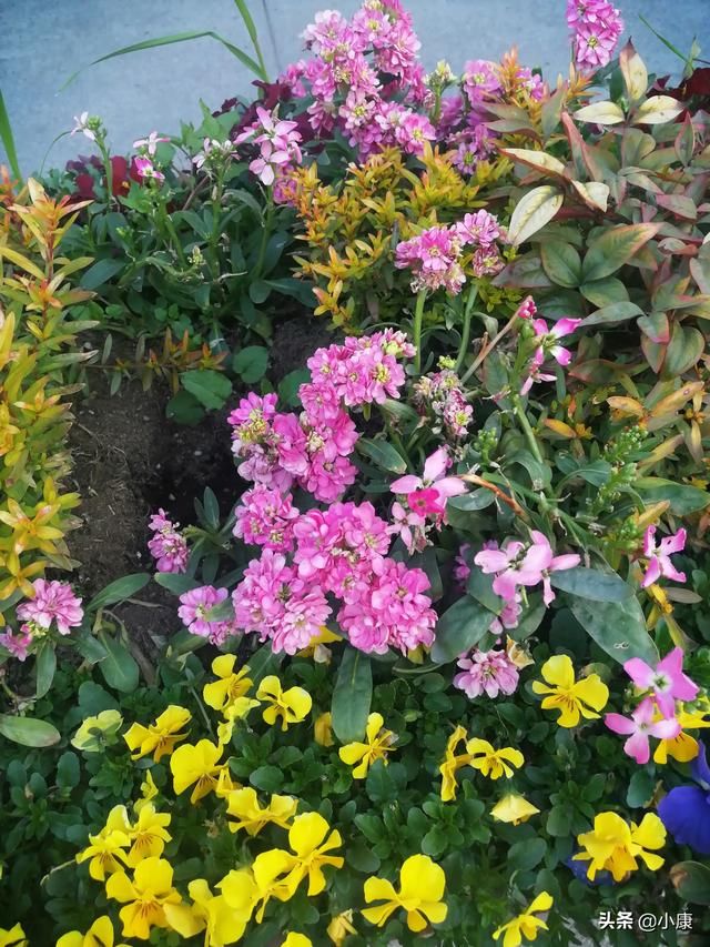 ���й���������΢����Ů �������ܴ�������