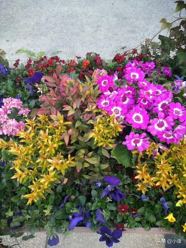 ���й���������΢����Ů �������ܴ�������