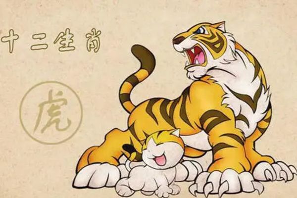 属虎今年的运势怎么样 今年属虎的犯太岁要注意什么