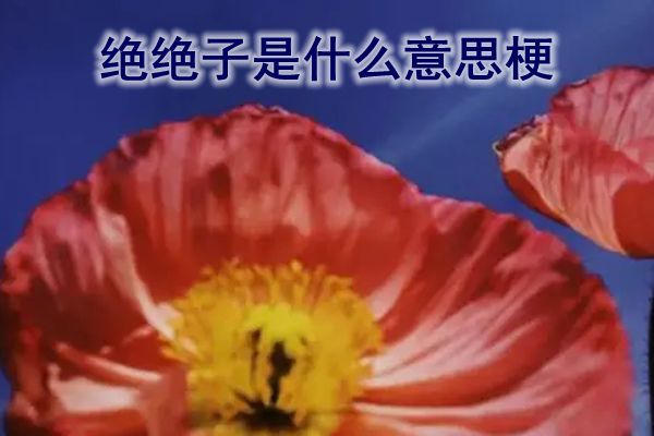 绝绝子网络意思是什么 最近的绝绝子到底是什么梗