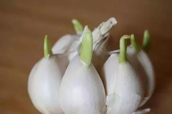 �׾��ݴ�����ʲô��Ч������ ����ƵĹ�Ч��Ҫ��ʲô