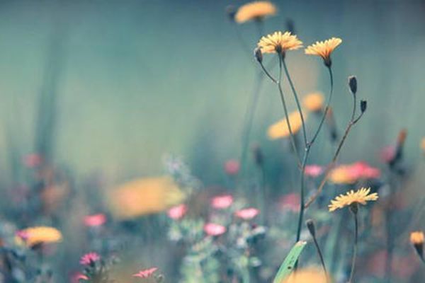 ��Ԣ���΢���ǳ� Ů��������̺����к���