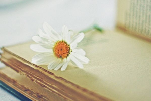 ��Ԣ���΢���ǳ� Ů��������̺����к���