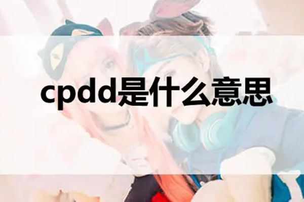 cpdd��ʲô��˼ ��������cpdd����Ψһ��һ����ʲô