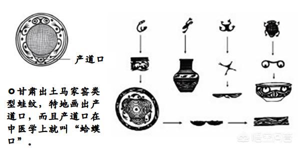 Ů�����������Ƭ ���µ�������ʲô���ӵ�