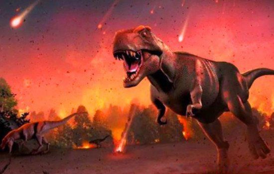 ����������һֻ������������ ��������Ӱ��Ȼ������