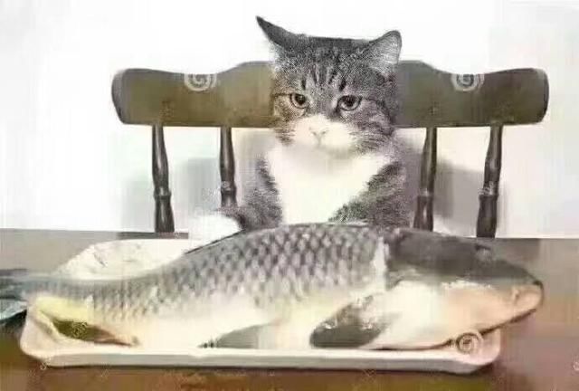 ����ƽ������� ����ƽ�����¹۵�Ԥ��