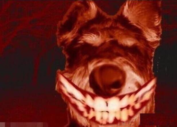 的女生家里,但是去了这个女生的家里之后,只听到这位女主人公的哭泣