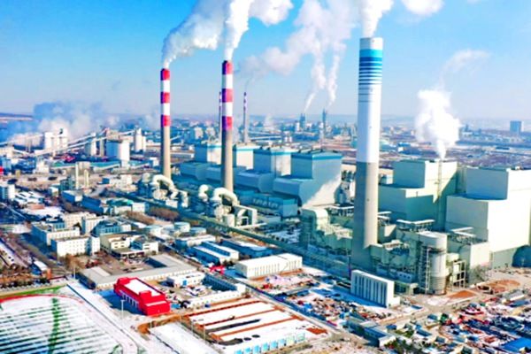 ���������Ʊ�������� Ϊʲô����������ǲ�����