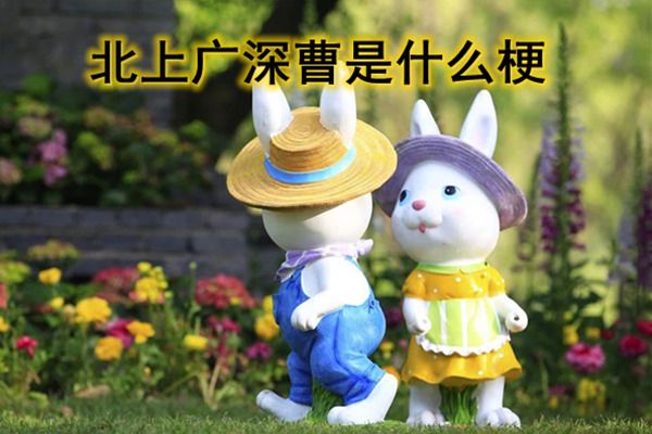 ������ʲô�� Ϊɶ˵���Ϲ����������������