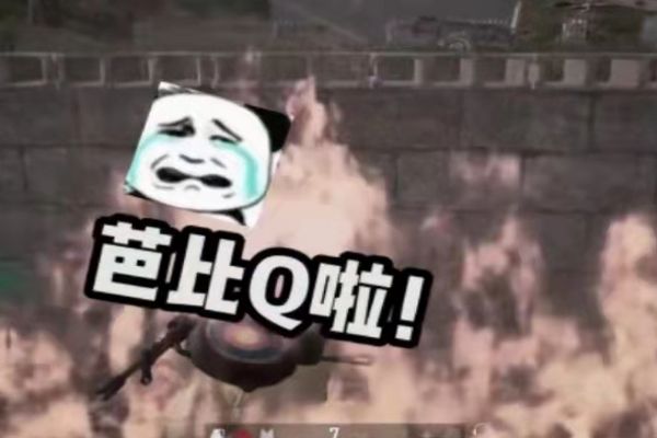 �ű�q��ʲô��˼��ô���� �ű�qΪʲô���군��