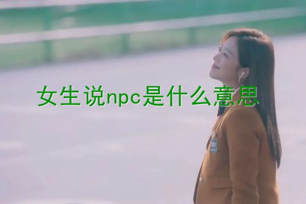 npc是什么意思 密室逃脱美女npc解释