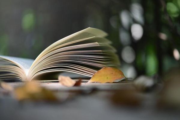什么是90000000000000000字作文 最长的作文恐怖吓死人