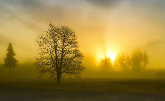 ���Ϻõ��ʺ�������ܰ �峿����������ʺ���