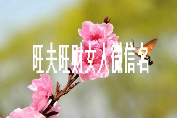 女人旺财旺夫的微信名 带来好运招财转运