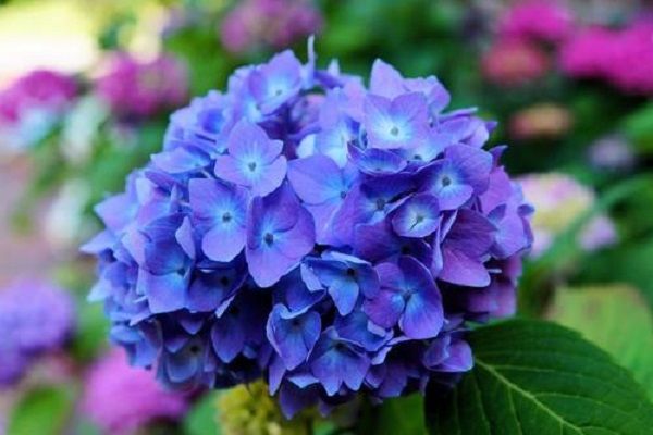 ����Ϊʲô�ֽ����˻��й��� ��ˮ������ǲ������Ļ���