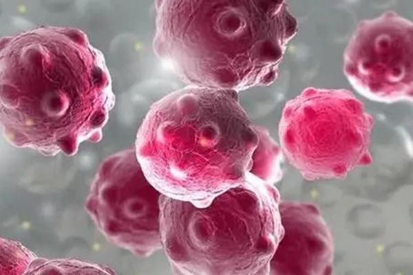 �ɶ������¹����������ĸ���˾ һ�����������������