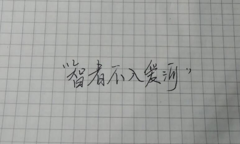 智者不入爱河下一句原文谁说的什么意思