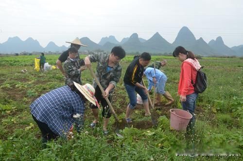 ���������ʲô��˼ ����ֻ��һ���������