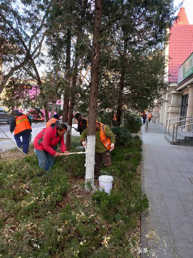 ���������ʲô��˼ ����ֻ��һ���������