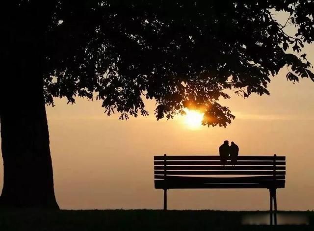 ���������ʲô��˼ ����ֻ��һ���������