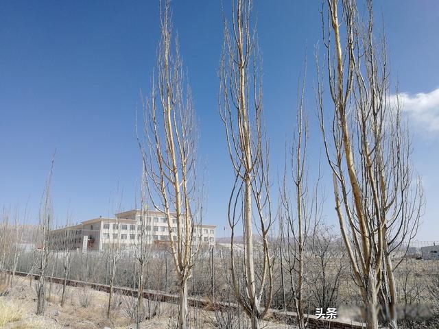 ���������ʲô��˼ ����ֻ��һ���������