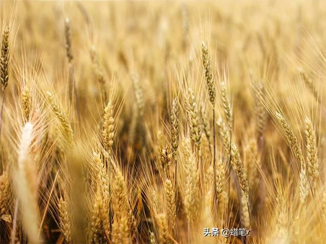 ����ʲô�������Ǽ� ��ؼ����������������