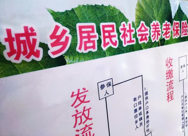 养老保险怎么交 按政策按规定操作起来