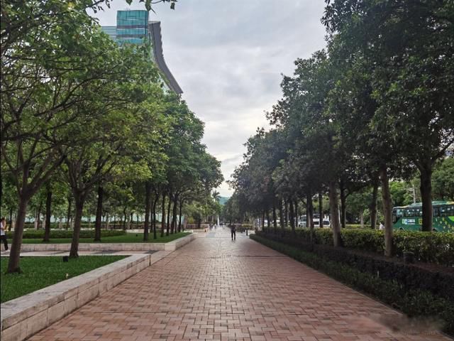 ��iphone���ǲ������� �Ż�˵�ĺ���������