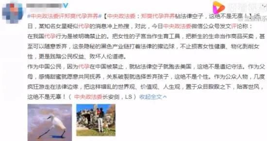 郑爽事件怎么回事 最终结果没有一方是完全的赢家