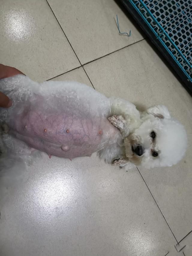 ��������������Ǯһ֧ ��С����������