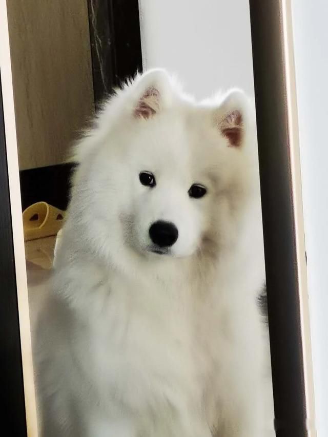 ��������������Ǯһ֧ ��С����������
