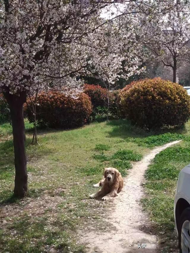 ��������������Ǯһ֧ ��С����������