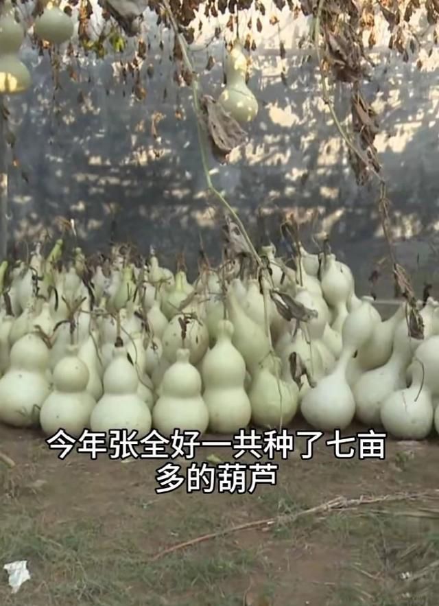 ũ��ı���С���� ��Ŀǰ������ϻ������