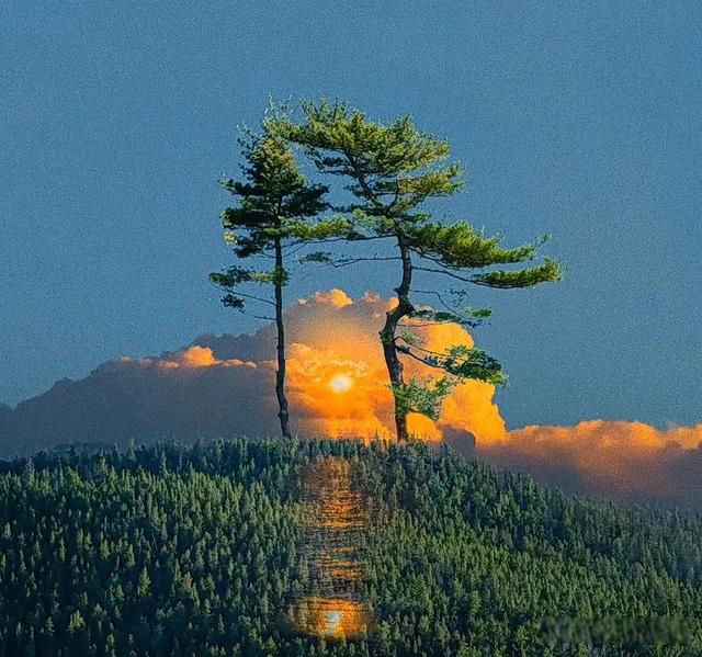 ������Ҫ׼��ʲô���� ����ʱ��ͥ��Ҫ����������