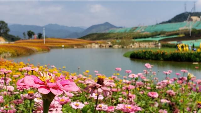 穷在闹市无人问富在深山有远亲是什么意思 字面意思讲人嫌贫爱富