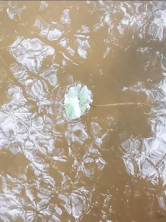 �������100�� �������ĵĶ�ͯ�����ϸ�