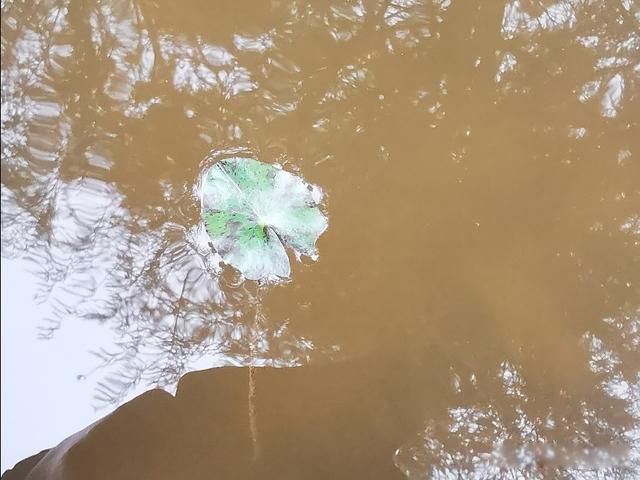 �������100�� �������ĵĶ�ͯ�����ϸ�