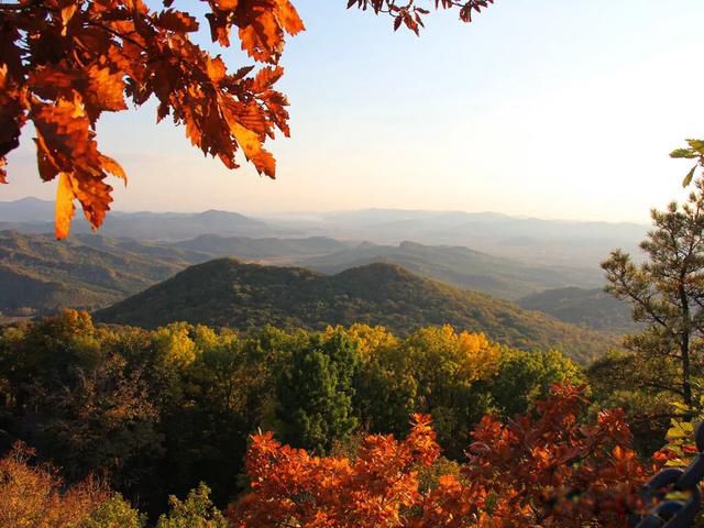 ������ֻ�����,������籯����ɶ��˼ ����ν֪������