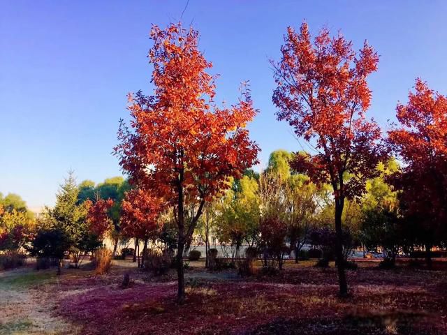 ������ֻ�����,������籯����ɶ��˼ ����ν֪������