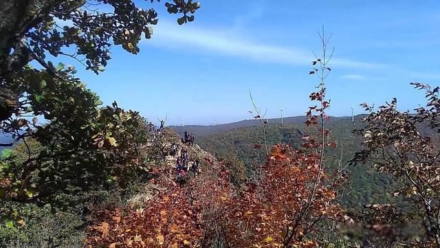 ������ֻ�����,������籯����ɶ��˼ ����ν֪������