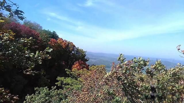 ������ֻ�����,������籯����ɶ��˼ ����ν֪������