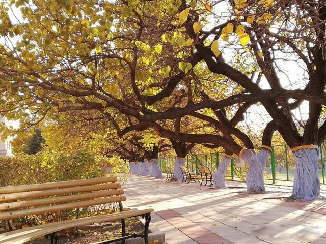 ������ֻ�����,������籯����ɶ��˼ ����ν֪������