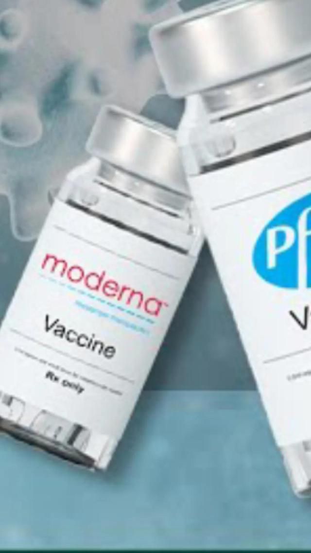 �����¹������¹涨 �����¹�����Υ����