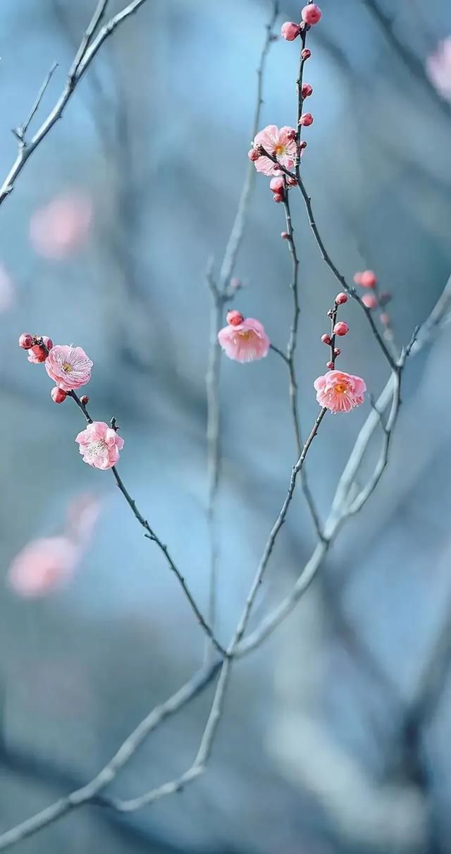 ԭ����Ű�ĵľ��� �о�ÿһ�ξ���˵�Ķ�����