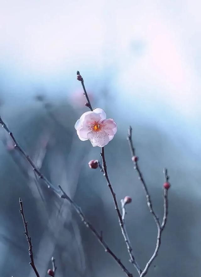 ԭ����Ű�ĵľ��� �о�ÿһ�ξ���˵�Ķ�����