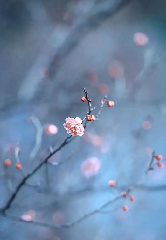 ԭ����Ű�ĵľ��� �о�ÿһ�ξ���˵�Ķ�����