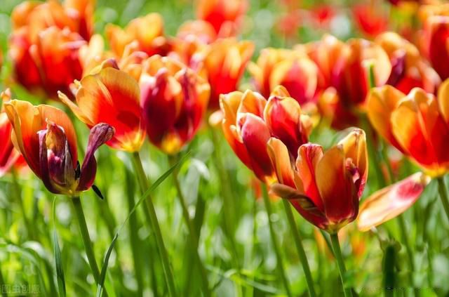 �й�����֮�׵�������������� ��Ů��һ���Ӽǵ���
