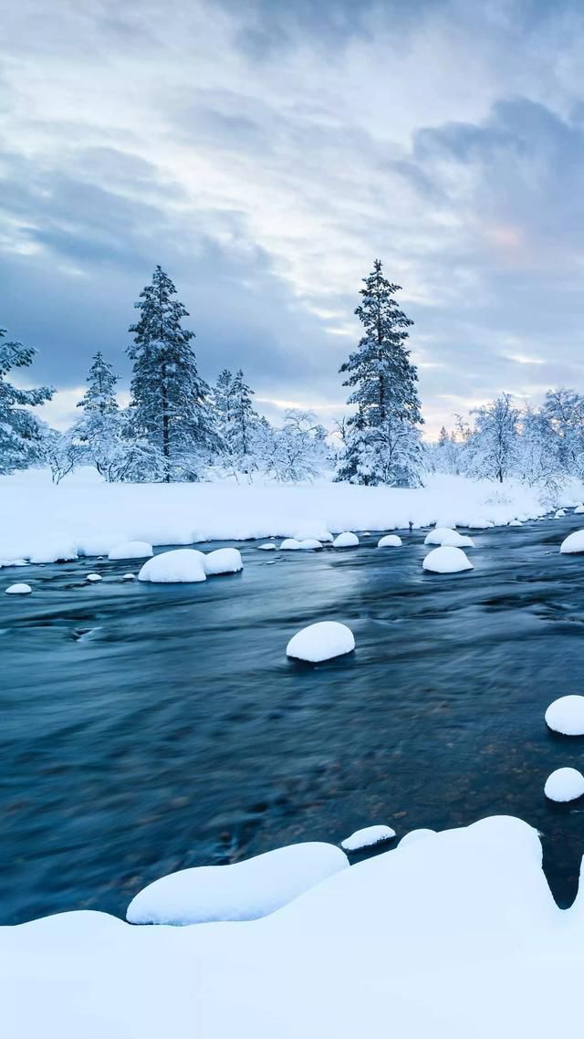 20��Ű�ĵľ��� ���ʺ����ڵ��Լ�