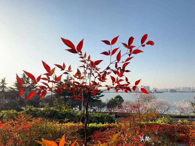 穷在闹市无人问富在深山有远亲是什么意思 透着世态炎凉